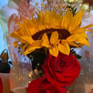 Meet your Posher, Maria